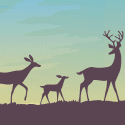 Red Stag Mailer Banner